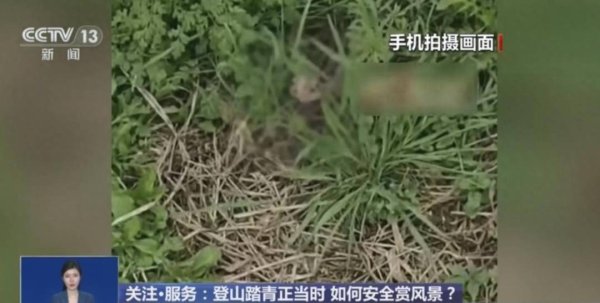春回大地，登山踏青正当时，这份安全锦囊请收好