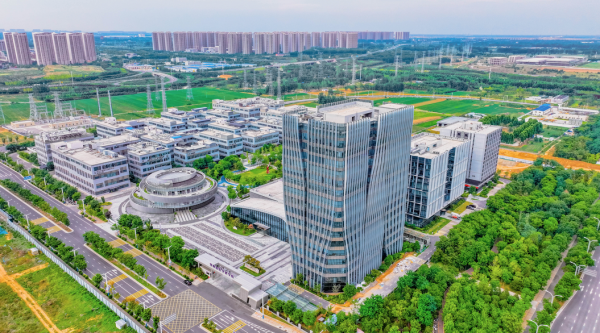 政策“撑腰”，企业“登高”！看这片热土如何与企业“双向奔赴”