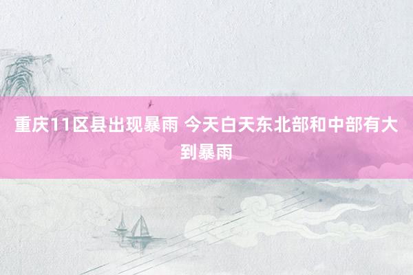 重庆11区县出现暴雨 今天白天东北部和中部有大到暴雨