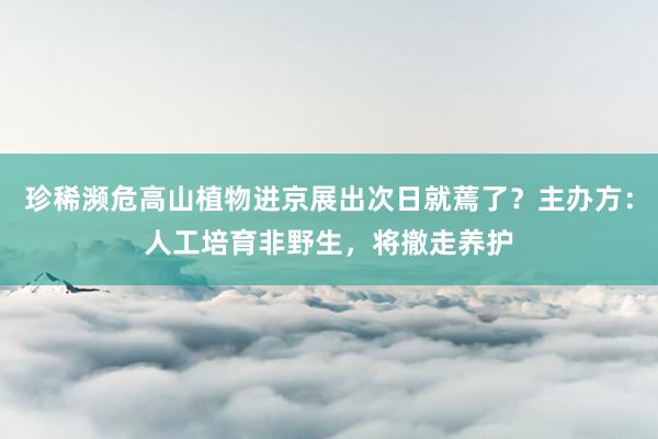 珍稀濒危高山植物进京展出次日就蔫了？主办方：人工培育非野生，将撤走养护