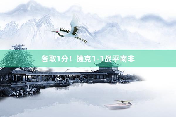 各取1分！捷克1-1战平南非