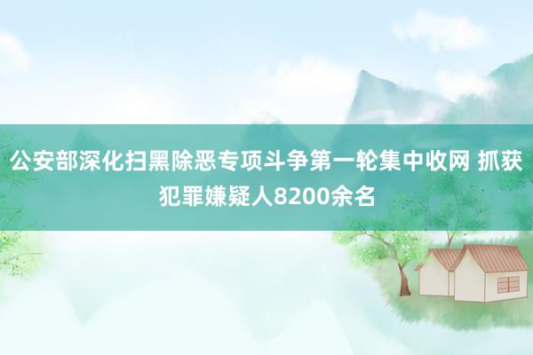 公安部深化扫黑除恶专项斗争第一轮集中收网 抓获犯罪嫌疑人8200余名