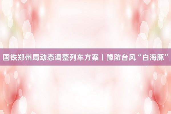 国铁郑州局动态调整列车方案丨豫防台风“白海豚”