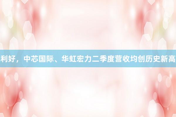 利好，中芯国际、华虹宏力二季度营收均创历史新高