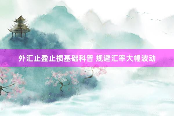 外汇止盈止损基础科普 规避汇率大幅波动