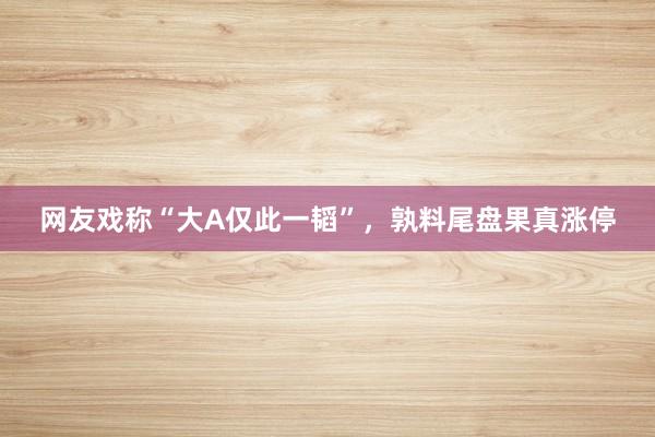 网友戏称“大A仅此一韬”，孰料尾盘果真涨停