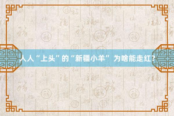 人人“上头”的“新疆小羊” 为啥能走红？