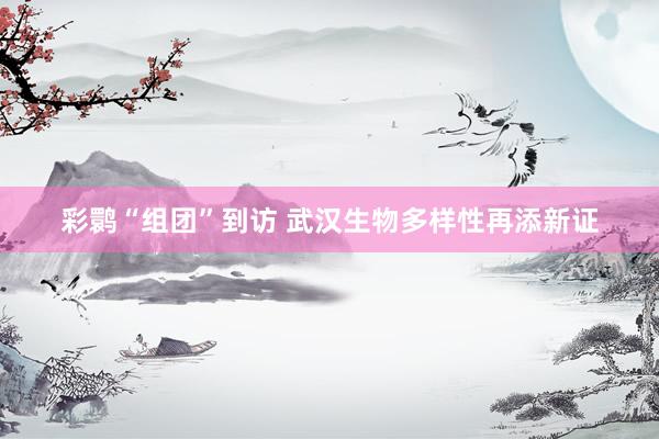 彩鹮“组团”到访 武汉生物多样性再添新证