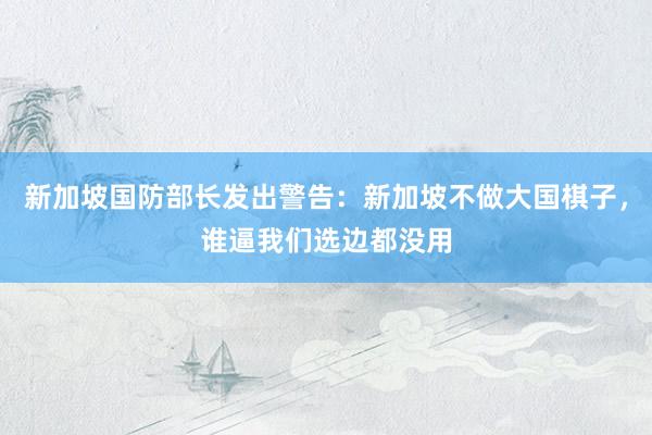 新加坡国防部长发出警告：新加坡不做大国棋子，谁逼我们选边都没用