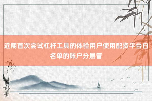 近期首次尝试杠杆工具的体验用户使用配资平台白名单的账户分层管