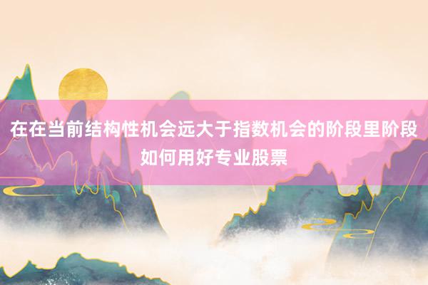 在在当前结构性机会远大于指数机会的阶段里阶段如何用好专业股票