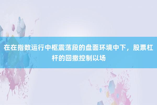 在在指数运行中枢震荡段的盘面环境中下,股票杠杆的回撤控制以场