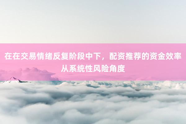在在交易情绪反复阶段中下，配资推荐的资金效率从系统性风险角度