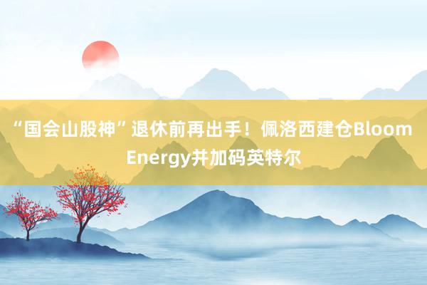 “国会山股神”退休前再出手！佩洛西建仓Bloom Energy并加码英特尔