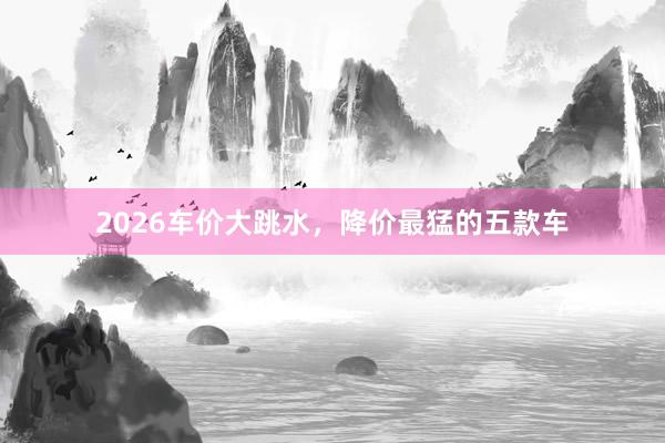 2026车价大跳水，降价最猛的五款车