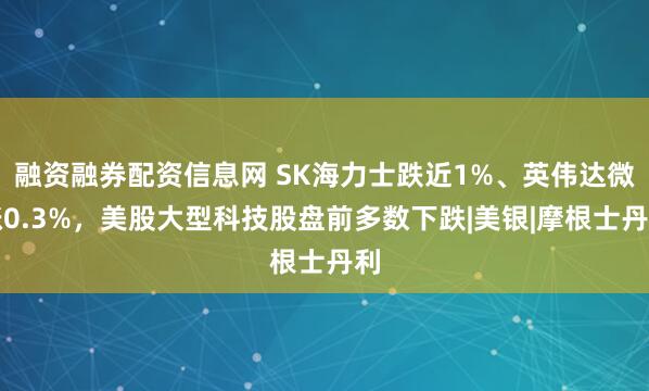 融资融券配资信息网 SK海力士跌近1%、英伟达微涨0.3%，美股大型科技股盘前多数下跌|美银|摩根士丹利
