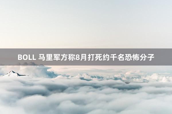 BOLL 马里军方称8月打死约千名恐怖分子