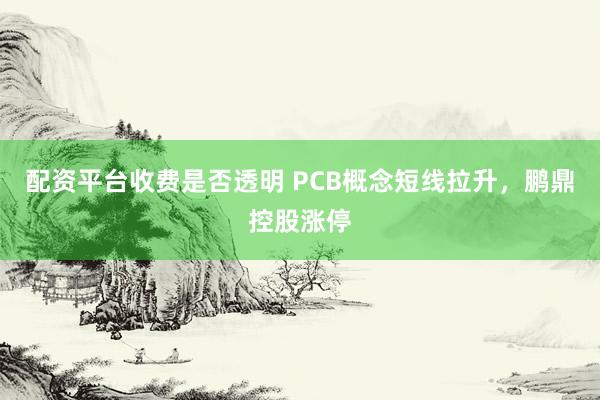 配资平台收费是否透明 PCB概念短线拉升，鹏鼎控股涨停