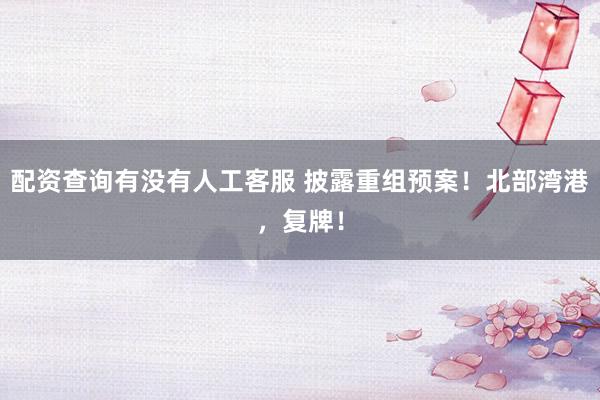 配资查询有没有人工客服 披露重组预案！北部湾港，复牌！