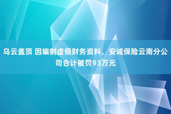 乌云盖顶 因编制虚假财务资料，安诚保险云南分公司合计被罚93万元