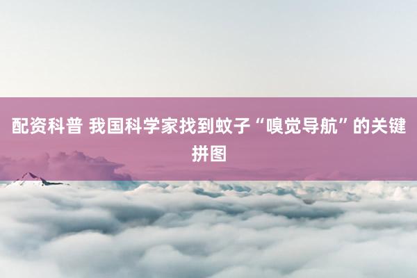 配资科普 我国科学家找到蚊子“嗅觉导航”的关键拼图