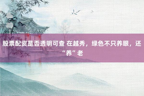 股票配资是否透明可查 在越秀,绿色不只养眼,还“养”老